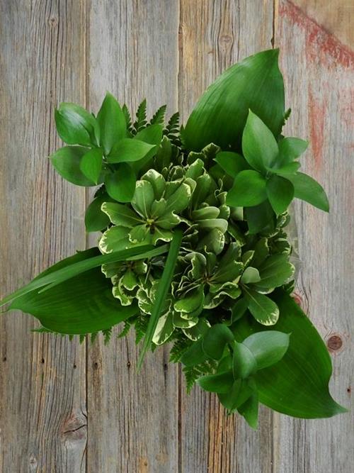 DROP-IN GREENS  BOUQUET 15-17 STEMS GROWER`S MIX